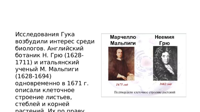 Исследования Гука возбудили интерес среди биологов. Английский ботаник Н. Грю (1628-1711) и итальянский ученый М. Мальпиги (1628-1694) одновременно в 1671 г. описали клеточное строение листьев, стеблей и корней растений. Их по праву можно назвать основоположниками анатомии растений. 