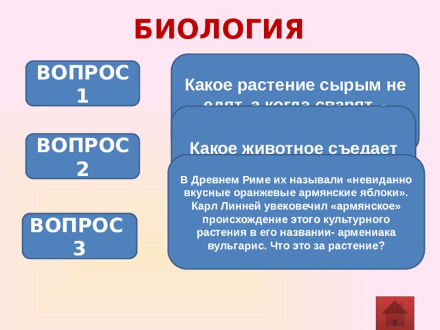 БИОЛОГИЯ Какое растение сырым не едят, а когда сварят, - выбрасывают? ВОПРОС 1 Какое животное съедает самца после спаривания? ВОПРОС 2 В Древнем Риме их называли «невиданно вкусные оранжевые армянские яблоки». Карл Линней увековечил «армянское» происхождение этого культурного растения в его названии- армениака вульгарис. Что это за растение? ВОПРОС 3 