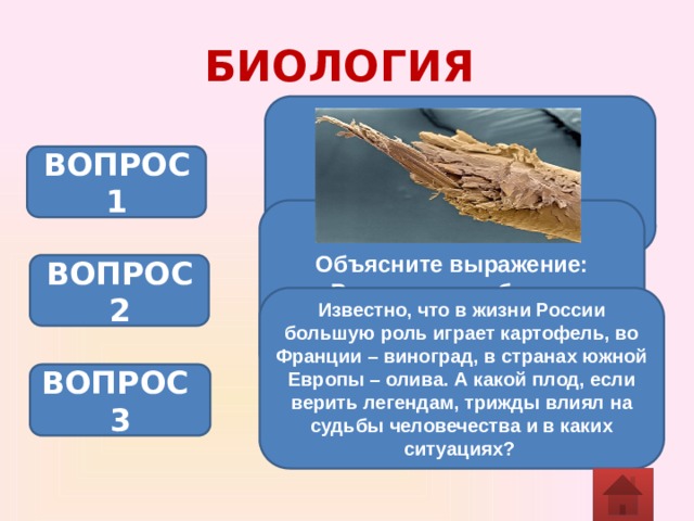 БИОЛОГИЯ ВОПРОС 1 Объясните выражение: «Растет, как гриб после дождя».  ВОПРОС 2 Известно, что в жизни России большую роль играет картофель, во Франции – виноград, в странах южной Европы – олива. А какой плод, если верить легендам, трижды влиял на судьбы человечества и в каких ситуациях?  ВОПРОС 3 