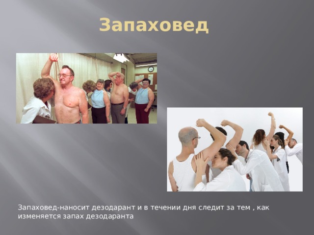 Запаховед Запаховед-наносит дезодарант и в течении дня следит за тем , как изменяется запах дезодаранта 