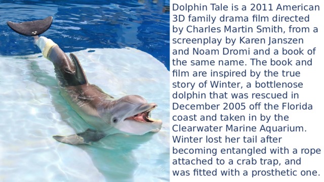 Dolphin Tale is a 2011 American 3D family drama film directed by Charles Martin Smith, from a screenplay by Karen Janszen and Noam Dromi and a book of the same name. The book and film are inspired by the true story of Winter, a bottlenose dolphin that was rescued in December 2005 off the Florida coast and taken in by the Clearwater Marine Aquarium. Winter lost her tail after becoming entangled with a rope attached to a crab trap, and was fitted with a prosthetic one. 