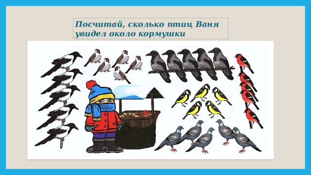 Посчитай, сколько птиц Ваня увидел около кормушки 