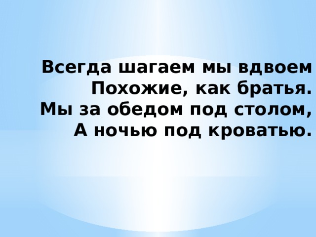Всегда шагаем мы вдвоем  Похожие, как братья.  Мы за обедом под столом,  А ночью под кроватью. 