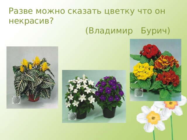 Разве можно сказать цветку что он некрасив?   (Владимир Бурич)  