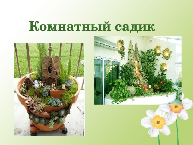 Комнатный садик  