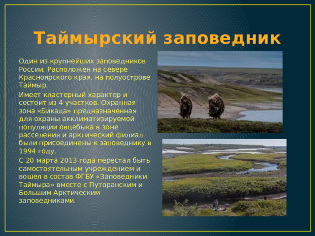 Таймырский заповедник Один из крупнейших заповедников России. Расположен на севере Красноярского края, на полуострове Таймыр. Имеет кластерный характер и состоит из 4 участков. Охранная зона «Бикада» предназначенная для охраны акклиматизируемой популяции овцебыка в зоне расселения и арктический филиал были присоединены к заповеднику в 1994 году. С 20 марта 2013 года перестал быть самостоятельным учреждением и вошел в состав ФГБУ «Заповедники Таймыра» вместе с Путоранским и Большим Арктическим заповедниками. 