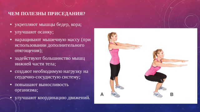 Чем полезны приседания?   укрепляют мышцы бедер, кора; улучшают осанку; наращивают мышечную массу (при использовании дополнительного отягощения); задействуют большинство мышц нижней части тела; создают необходимую нагрузку на сердечно-сосудистую систему; повышают выносливость организма; улучшают координацию движений. 
