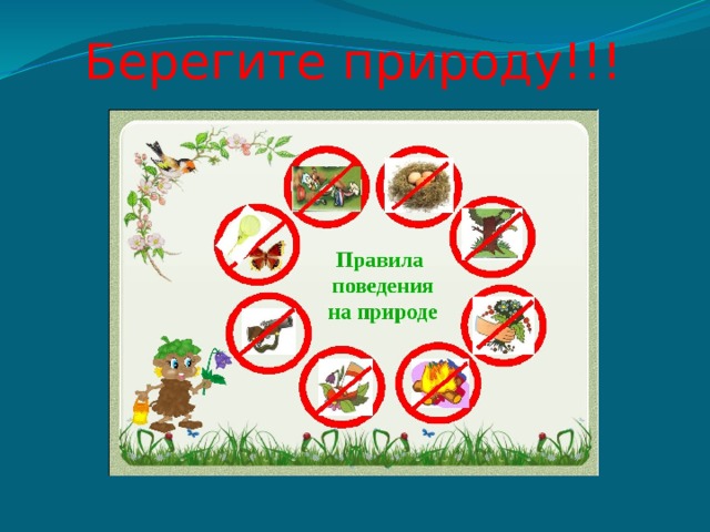 Берегите природу!!! 