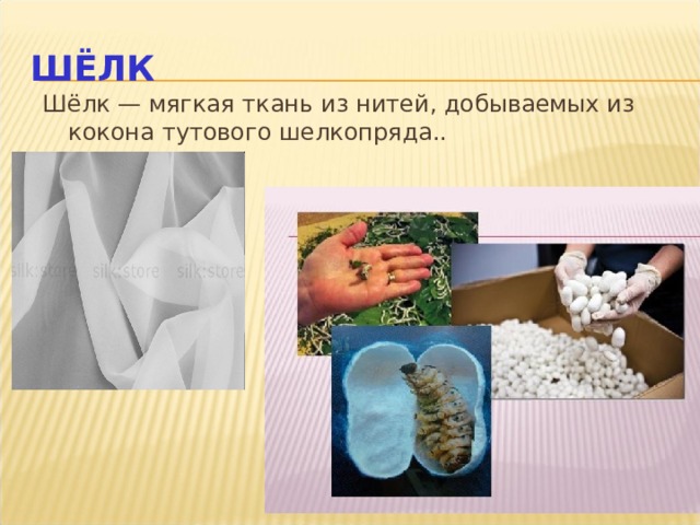 ШЁЛК Шёлк — мягкая ткань из нитей, добываемых из кокона тутового шелкопряда.. 