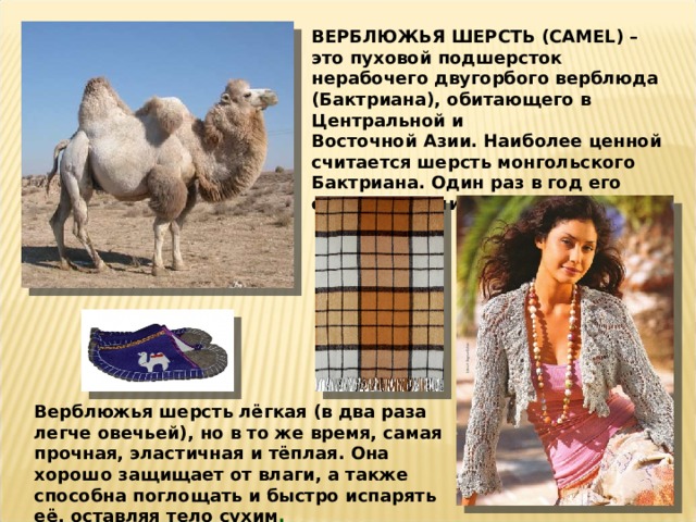 ВЕРБЛЮЖЬЯ ШЕРСТЬ (CAMEL) –  это пуховой подшерсток нерабочего двугорбого верблюда (Бактриана), обитающего в Центральной и Восточной Азии. Наиболее ценной считается шерсть монгольского Бактриана. Один раз в год его собирают (или вычёсывают) Верблюжья шерсть лёгкая (в два раза легче овечьей), но в то же время, самая прочная, эластичная и тёплая. Она хорошо защищает от влаги, а также способна поглощать и быстро испарять её, оставляя тело сухим . 