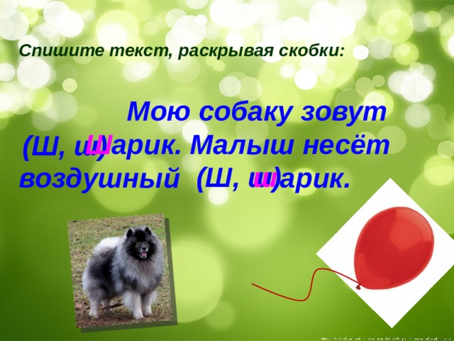 Спишите текст, раскрывая скобки:   Мою собаку зовут  арик. Малыш несёт воздушный арик. Ш (Ш, ш) (Ш, ш) ш 