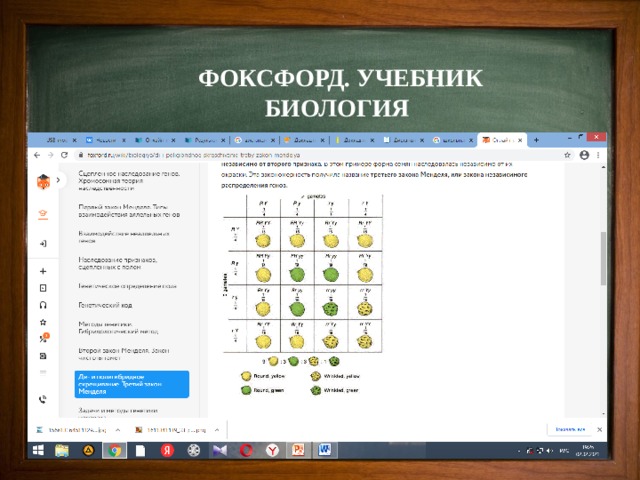 ФОКСФОРД. УЧЕБНИК БИОЛОГИЯ 