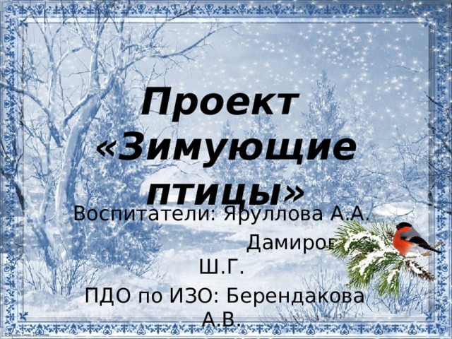 Проект  «Зимующие птицы» Воспитатели: Яруллова А.А.  Дамирова Ш.Г.  ПДО по ИЗО: Берендакова А.В. 