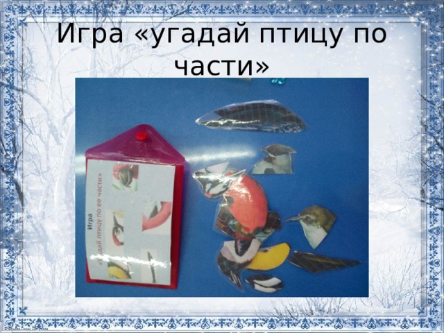 Игра «угадай птицу по части» 