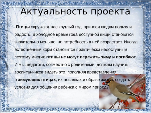 Актуальность проекта  Птицы  окружают нас круглый год, принося людям пользу и радость. В холодное время года доступной пищи становится значительно меньше, но потребность в ней возрастает. Иногда естественный корм становится практически недоступным, поэтому многие  птицы не могут пережить зиму и погибают . И мы, педагоги, совместно с родителями, должны научить воспитанников видеть это, пополняя представления о  зимующих птицах , их повадках и образе жизни, создать условия для общения ребенка с миром природы 