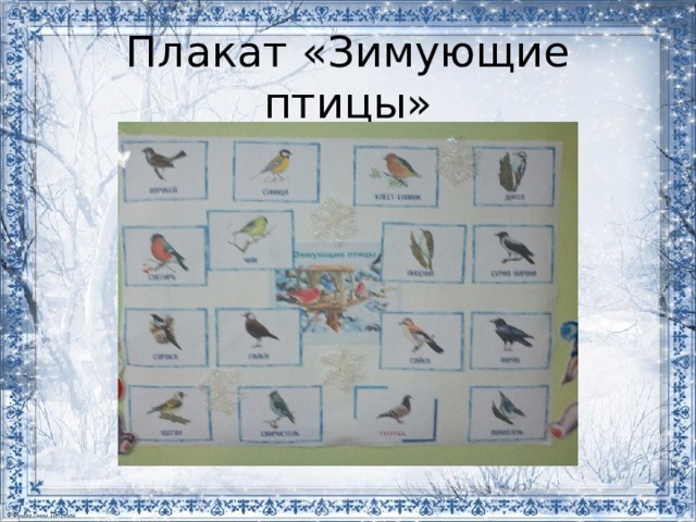 Плакат «Зимующие птицы» 