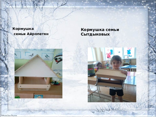Кормушка  семьи Айропетян Кормушка семьи Сытдыковых 