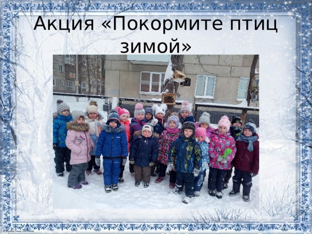 Акция «Покормите птиц зимой» 