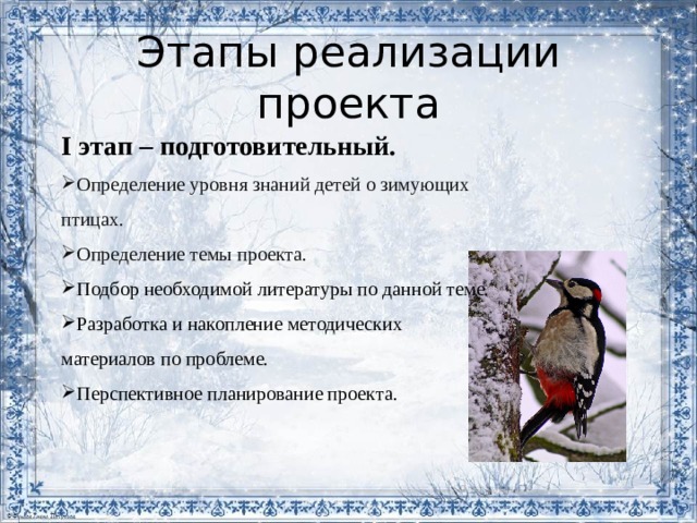 Этапы реализации проекта I этап – подготовительный. Определение уровня знаний детей о зимующих птицах. Определение темы проекта. Подбор необходимой литературы по данной теме. Разработка и накопление методических материалов по проблеме. Перспективное планирование проекта. 