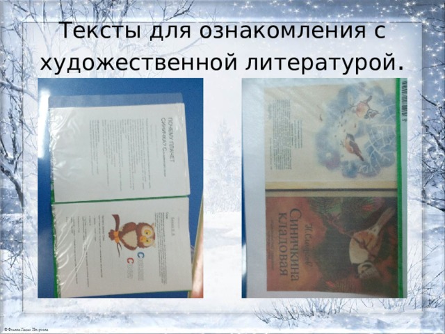 Тексты для ознакомления с художественной литературой . 