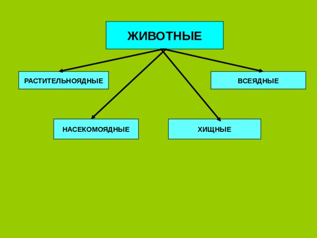 ЖИВОТНЫЕ РАСТИТЕЛЬНОЯДНЫЕ ВСЕЯДНЫЕ НАСЕКОМОЯДНЫЕ ХИЩНЫЕ