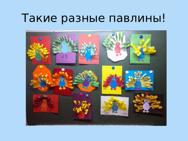 Такие разные павлины! 