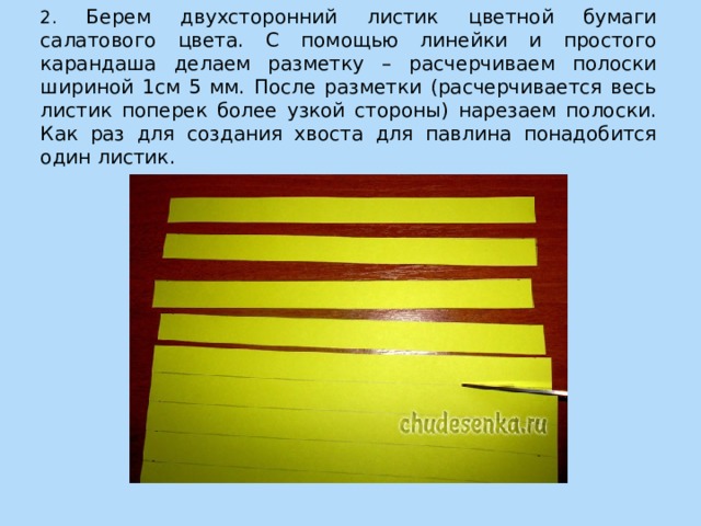 2. Берем двухсторонний листик цветной бумаги салатового цвета. С помощью линейки и простого карандаша делаем разметку – расчерчиваем полоски шириной 1см 5 мм. После разметки (расчерчивается весь листик поперек более узкой стороны) нарезаем полоски. Как раз для создания хвоста для павлина понадобится один листик. 