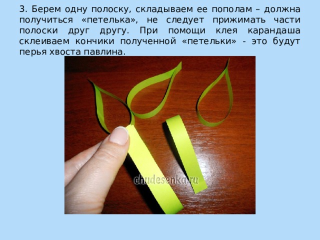 3. Берем одну полоску, складываем ее пополам – должна получиться «петелька», не следует прижимать части полоски друг другу. При помощи клея карандаша склеиваем кончики полученной «петельки» - это будут перья хвоста павлина. 