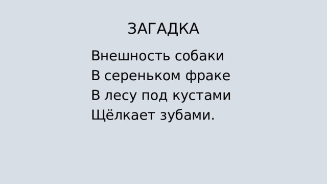 ЗАГАДКА Внешность собаки В сереньком фраке В лесу под кустами Щёлкает зубами. 