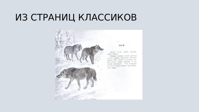 ИЗ СТРАНИЦ КЛАССИКОВ 