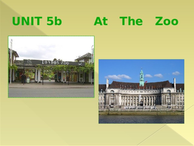 UNIT 5b At The Zoo 