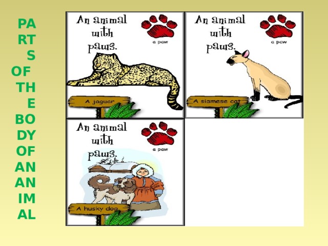 Parts of the body of an animal 