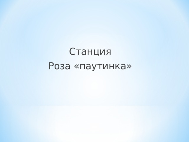 Станция Роза «паутинка» 