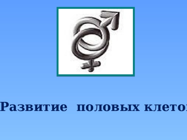 Развитие половых клеток 