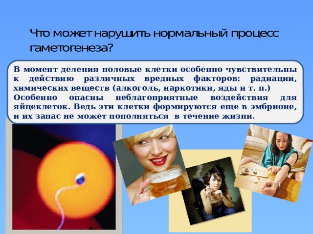 В момент деления половые клетки особенно чувствительны к действию различных вредных факторов: радиации, химических веществ (алкоголь, наркотики, яды и т. п.) Особенно опасны неблагоприятные воздействия для яйцеклеток. Ведь эти клетки формируются еще в эмбрионе, и их запас не может пополняться в течение жизни. 