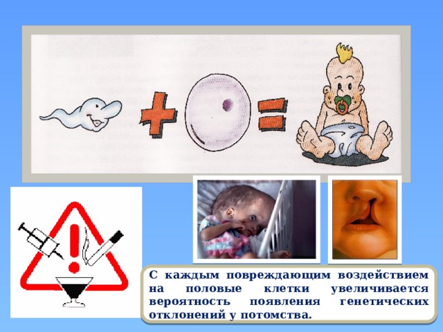 С каждым повреждающим воздействием на половые клетки увеличивается вероятность появления генетических отклонений у потомства. 