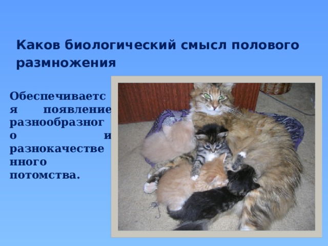 Каков биологический смысл полового размножения Обеспечивается появление разнообразного и разнокачественного потомства. 