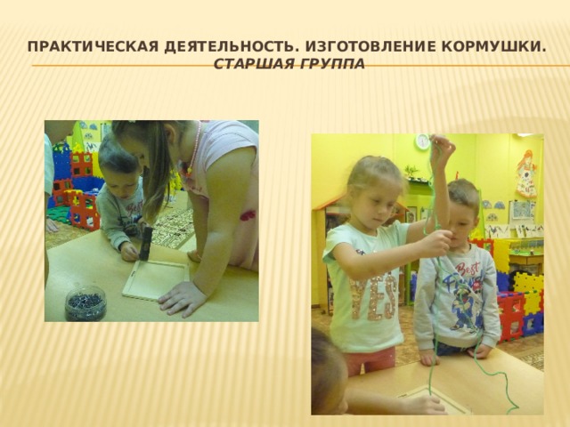 Практическая деятельность. Изготовление кормушки.  старшая группа 