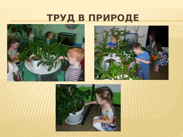Труд в природе 