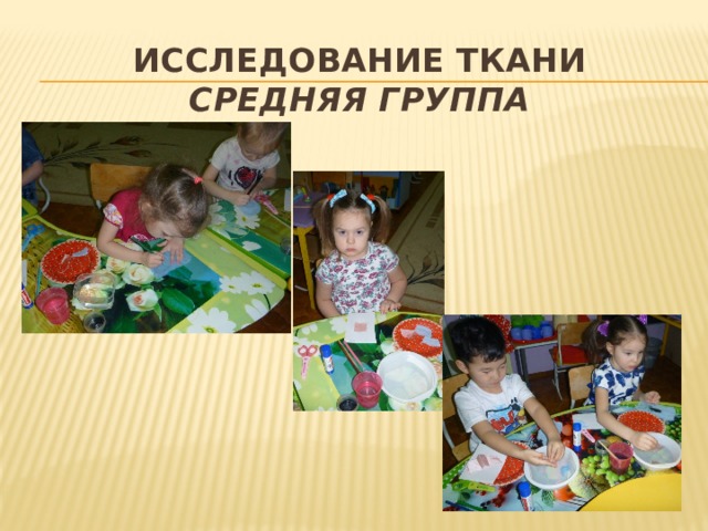 Исследование ткани  средняя группа 