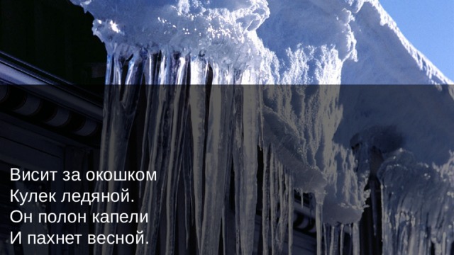 Висит за окошком  Кулек ледяной.  Он полон капели  И пахнет весной.  