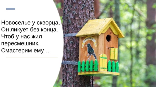 Новоселье у скворца,  Он ликует без конца.  Чтоб у нас жил пересмешник,  Смастерим ему…  