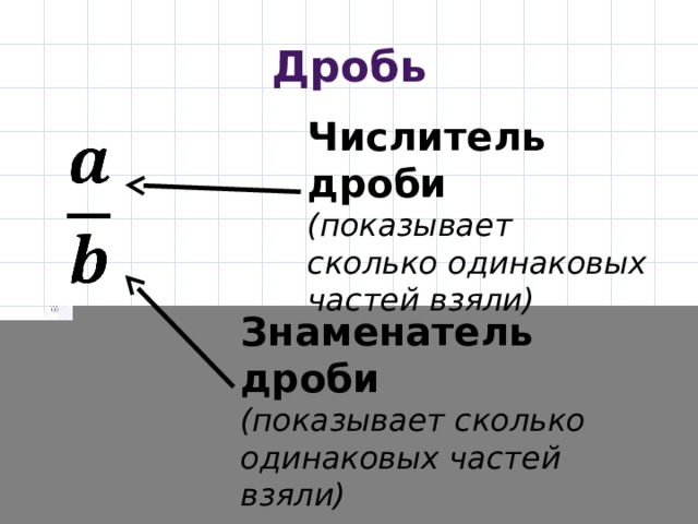 Дробь Числитель дроби (показывает сколько одинаковых частей взяли)   Знаменатель дроби (показывает сколько одинаковых частей взяли) 