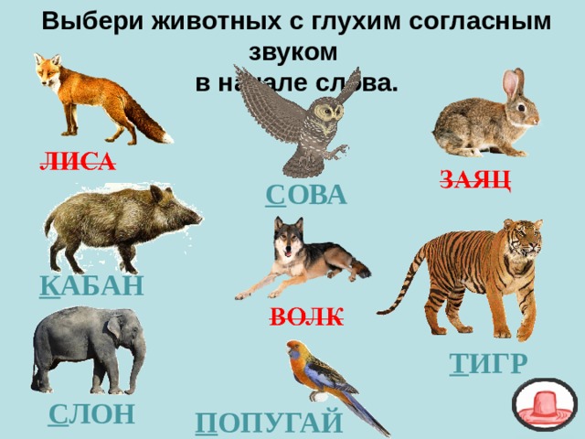 Выбери животных с глухим согласным звуком в начале слова. С ОВА К АБАН Т ИГР С ЛОН П ОПУГАЙ 