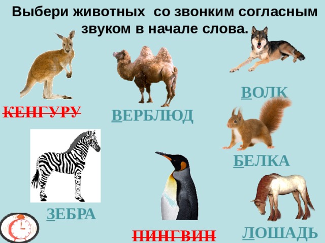 Выбери животных со звонким согласным звуком в начале слова. В ОЛК В ЕРБЛЮД Б ЕЛКА З ЕБРА Л ОШАДЬ 