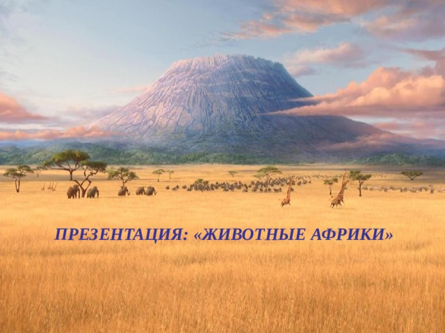 ПРЕЗЕНТАЦИЯ: «ЖИВОТНЫЕ АФРИКИ» 