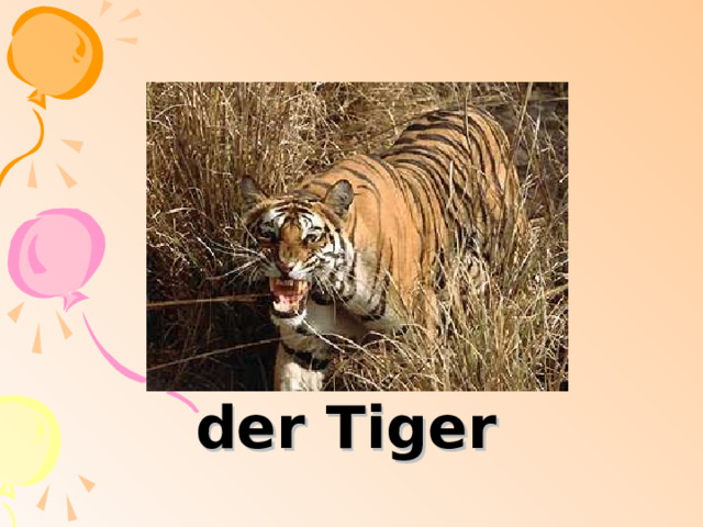 der Tiger 