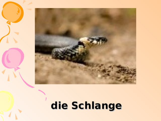 die Schlange 