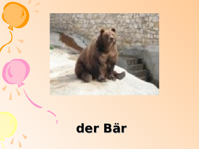 der Bär 