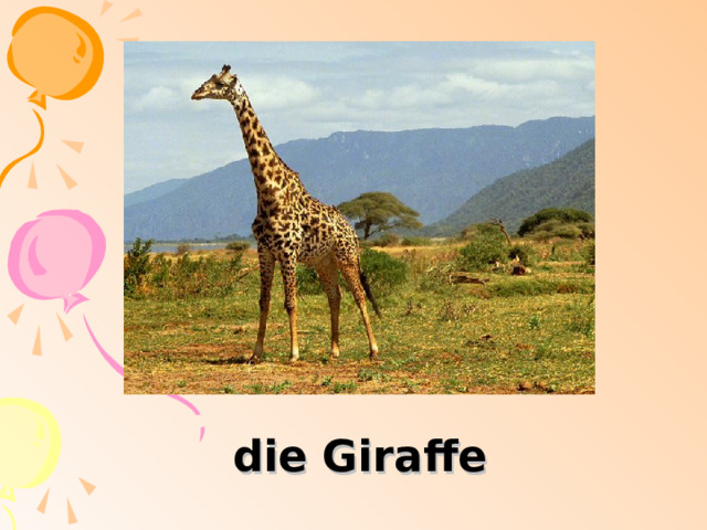 die Giraffe 